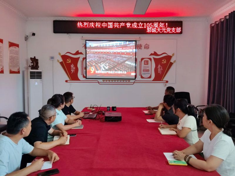 收看建党105周年大会，汲取奋进力量——郓城天元党支部开展集中观礼学习活动